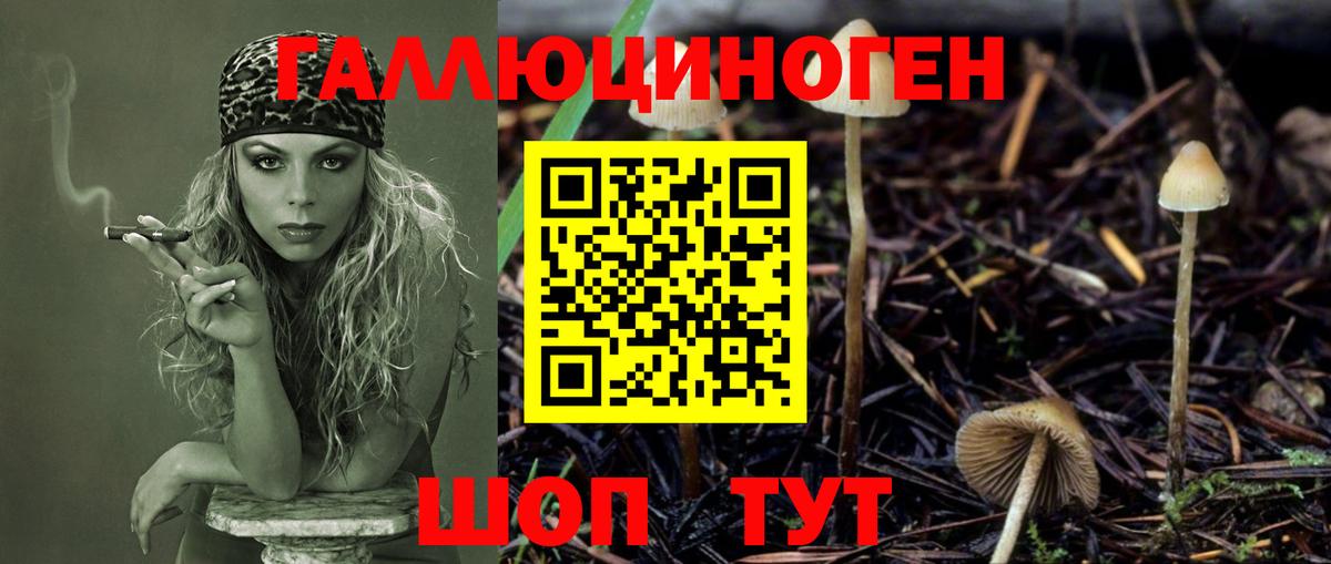 Галлюциногенные грибы Magic Shrooms  Галлюциногенные грибы ЛСД  Вольск  Вход с VPN 